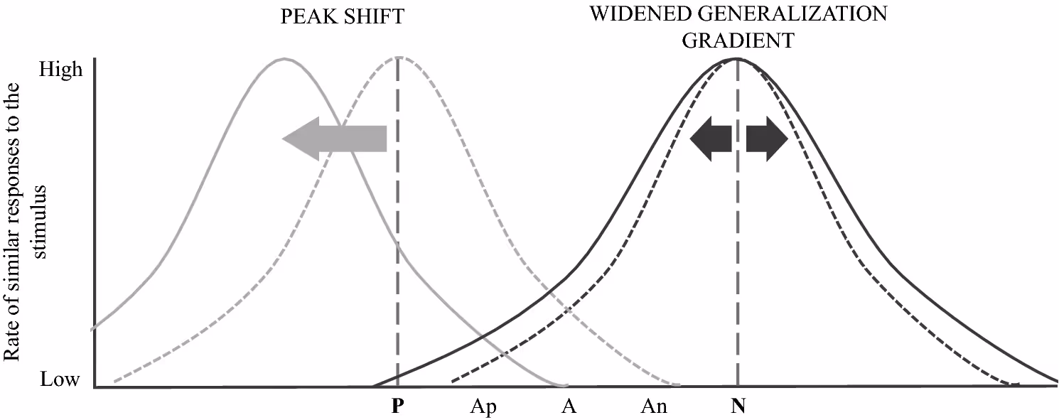Graphs compare peak shift with a widened generalization gradient across similar stimuli.